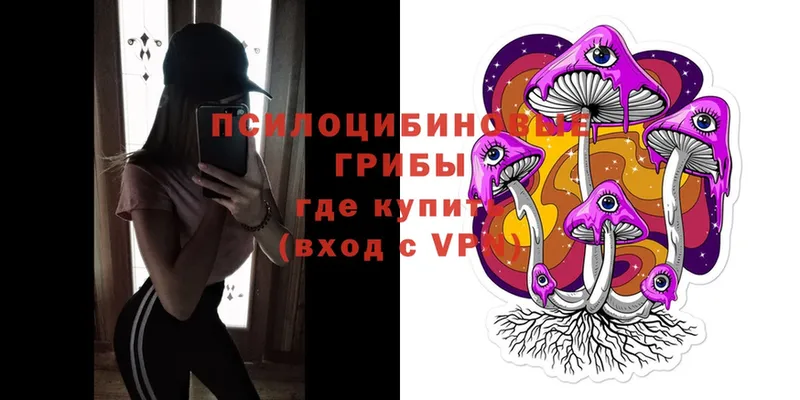 Галлюциногенные грибы Psilocybine cubensis  Лиски 